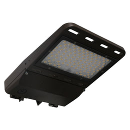 Flood Light LED 24000 Lumens Color Selectable 