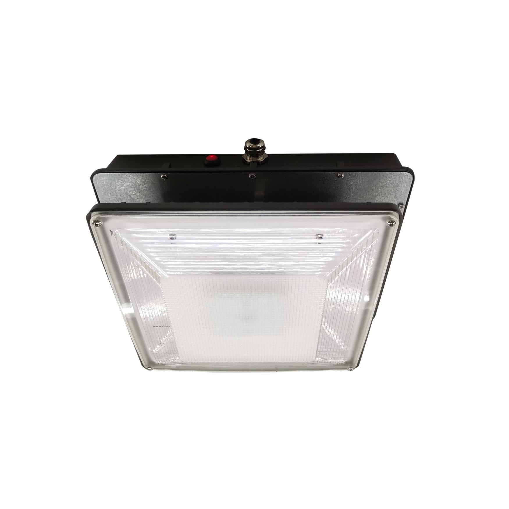 Outdoor LED Emergency Light with Photocell and Battery Backup